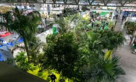 featured 1926783 265x160