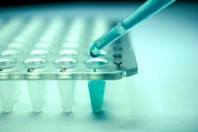 Malattie rare, terapia genica 'bimbi in bolla' efficace e sicura a lungo termine
