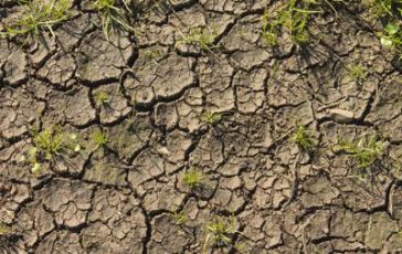 featured 1928576 364x230