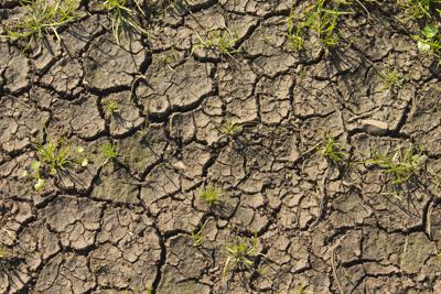 Clima, a rischio 1 pmi su 4, in zone vulnerabili più esposte a fallimento