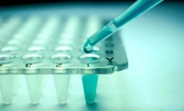 featured 1931514 265x160