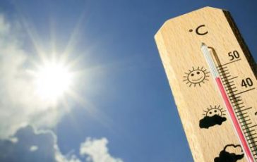 featured 1931562 364x230