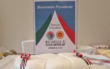 featured 1931904 364x230