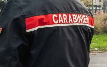 Muore sbranato da tre rottweiler
