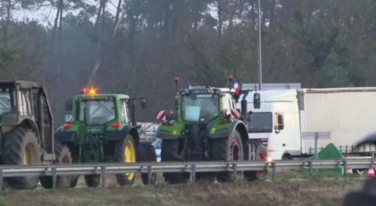 Agricoltori, caos e proteste: tutti i numeri del settore
