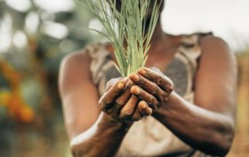 featured 1933550 364x230