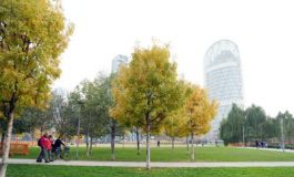 featured 1933792 265x160