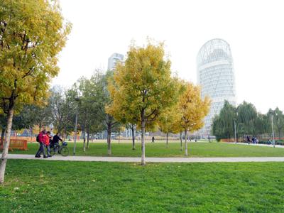 Smog fa male anche alle ossa, con pi&ugrave; verde meno osteoporosi