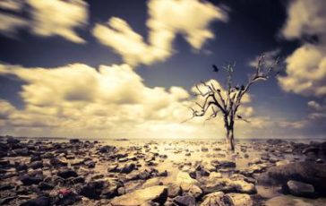 featured 1934095 364x230