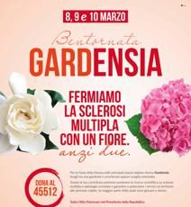 featured 1934524 212x230