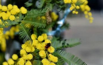 featured 1934940 364x230