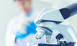 featured 1935894 265x160