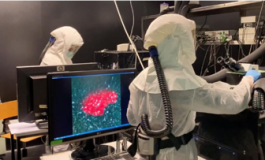 featured 1937328 265x160