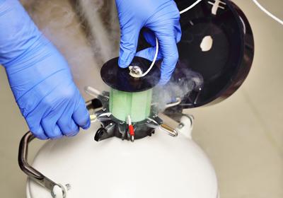 Ginecologo D'Amato: "Sigo può suggerire social freezing con sostegno Regione"
