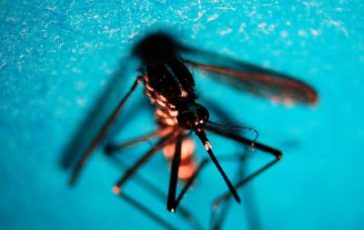 featured 1938986 364x230