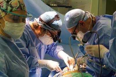 Trapianti, primo di rene di maiale su paziente vivo negli Usa
