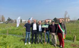 featured 1939873 265x160