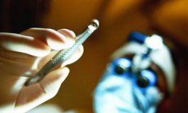 featured 1940260 265x160