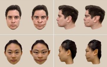 featured 1940270 364x230