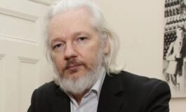 Julian Assange giornalista