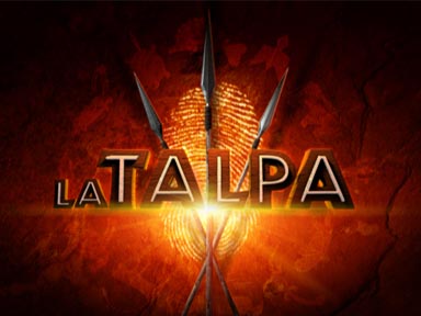 Mediaset, La Talpa si farà?