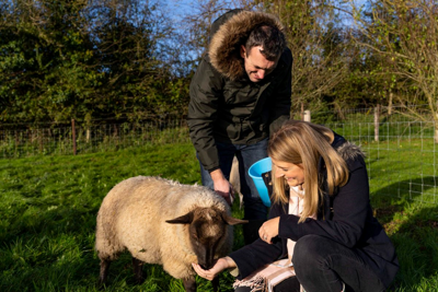 L&rsquo;Irlanda cerca amici della natura, vitto e alloggio in cambio di aiuto