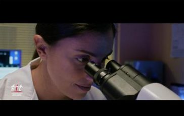 featured 1944619 364x230