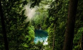 featured 1945553 265x160