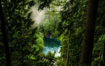 featured 1945553 364x230