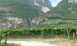 featured 1947035 265x160