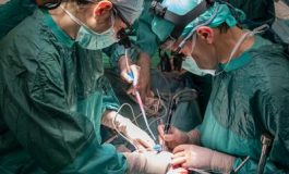 featured 1951126 265x160