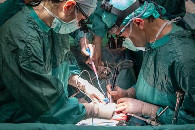 Trapianti, seconda paziente riceve rene maiale negli Usa, operata anche al cuore