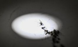 featured 1951969 265x160