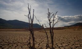 Zimbabwe, dichiarato lo stato di calamità