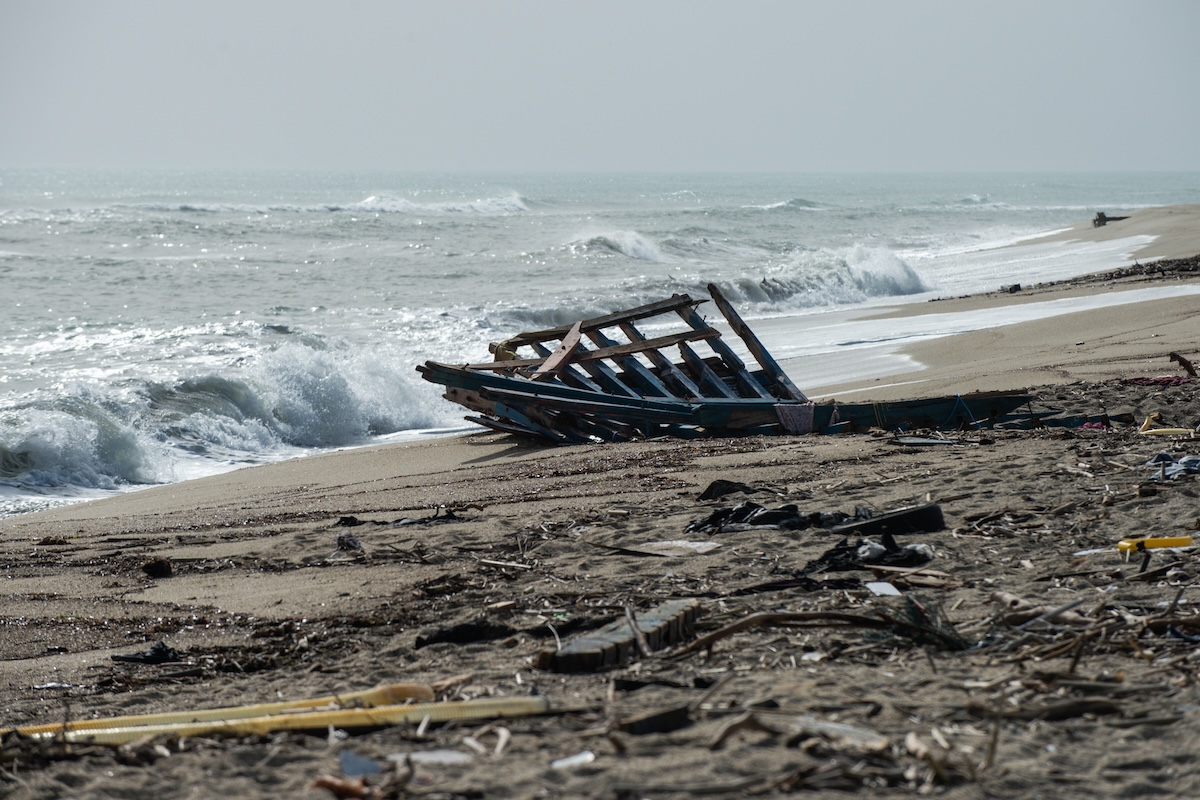 Australia, decine di balene morte spiaggiate: le cause
