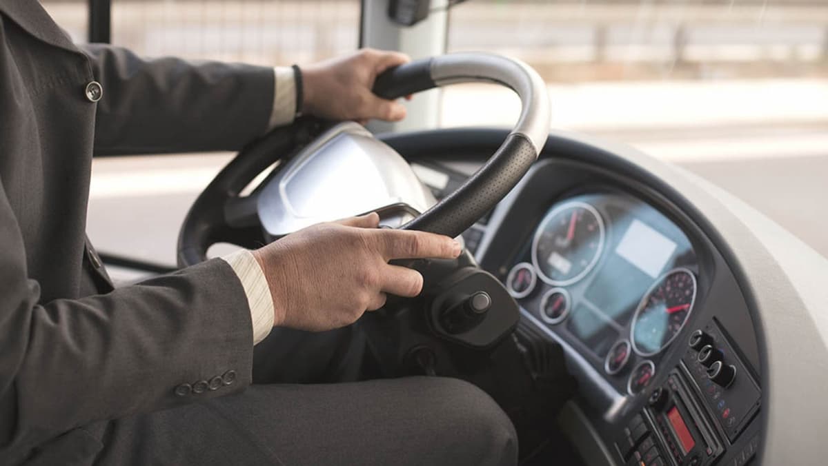 Tour con autista: conducenti specializzati per visitare le città