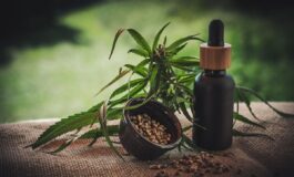 CBD per animali domestici: l'innovazione nel benessere animale