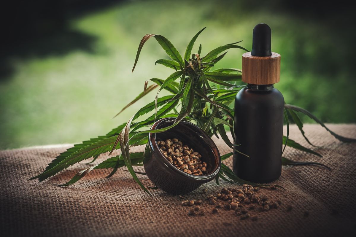 CBD per gli animali domestici: una nuova frontiera nel settore degli animali da compagnia
