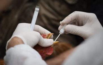 featured 1952652 364x230