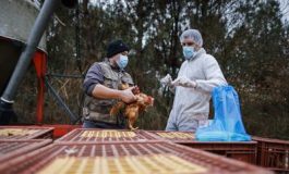 featured 1953067 265x160