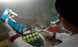 featured 1954483 265x160