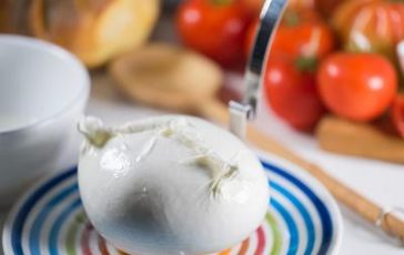 featured 1955340 364x230