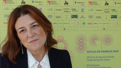 Vino, Cambria (Assovini Sicilia): "La nostra associazione dimostra che fare squadra &egrave; vincente"