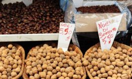 featured 1957438 265x160