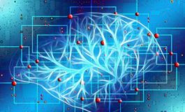 featured 1957891 265x160