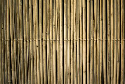 Dal bamb&ugrave; al vetro, la nuova frontiera dell&rsquo;architettura sostenibile