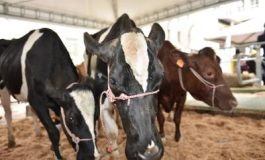 featured 1958959 265x160