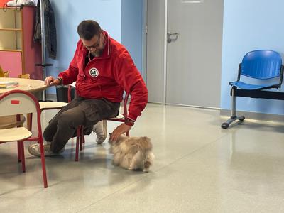Pet therapy, Colombo (Frida’s Friends Onlus): "Progetto nato per aiutare persone con disabilità"