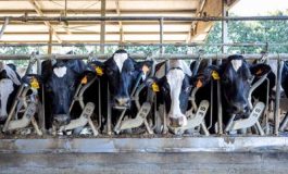 featured 1960368 265x160