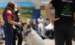 featured 1961414 265x160